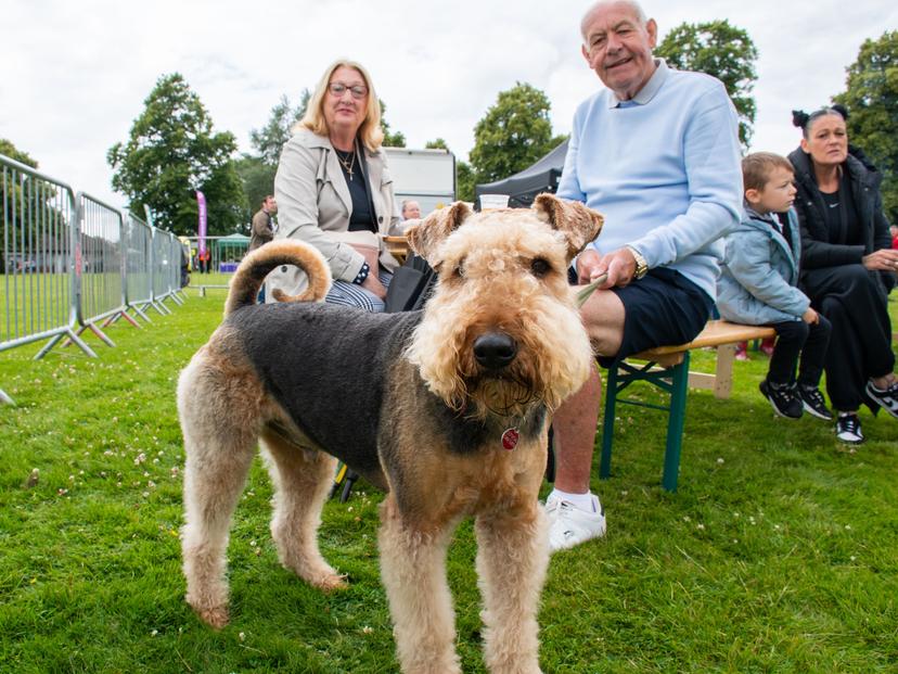 Image at https://media.umbraco.io/discover-ashfield-heartcore/j44ivnpi/hucknall_fest_24-36-1.jpg