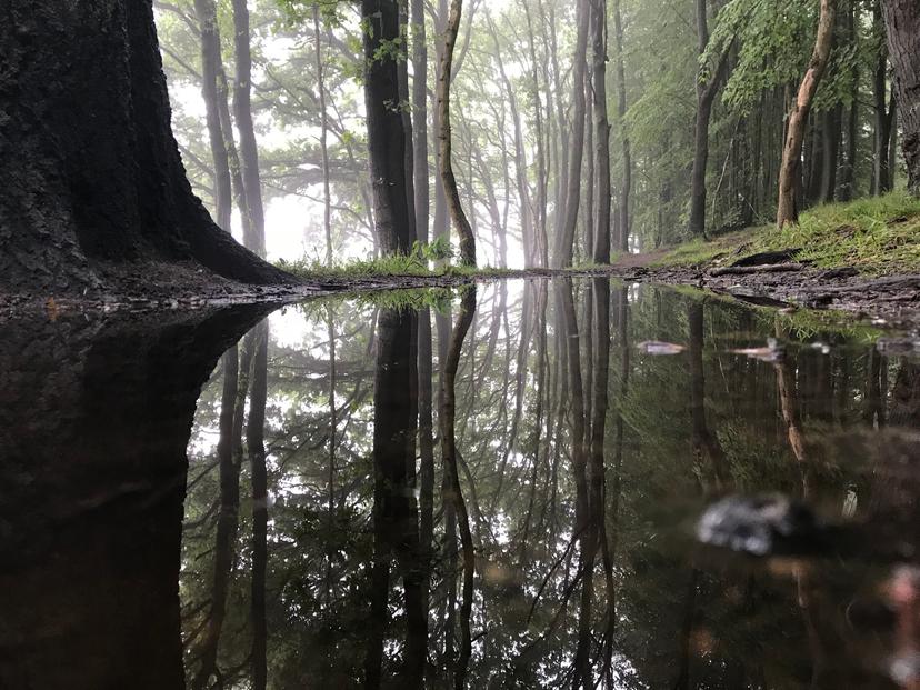 Image at https://media.umbraco.io/discover-ashfield-heartcore/onkf1q3u/grace-gunton-day-reflections.jpg