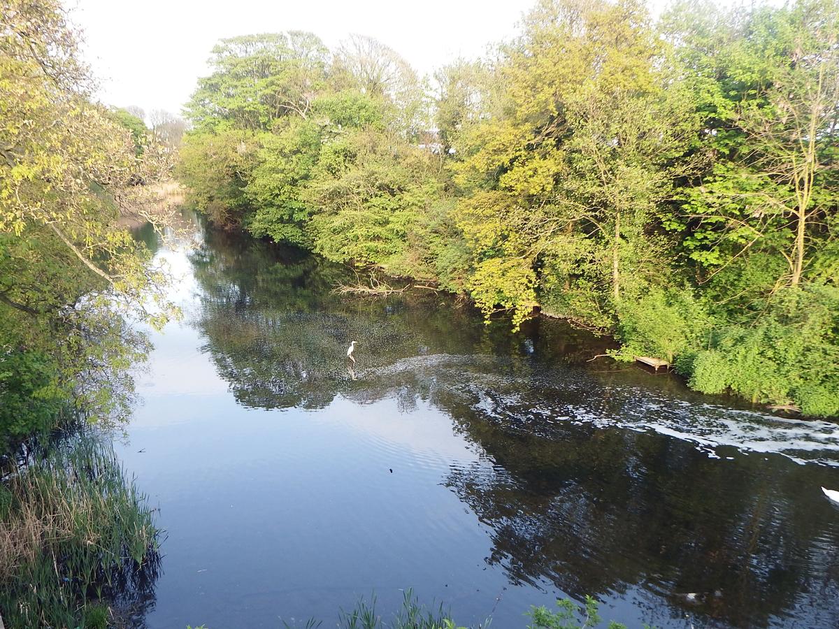 Kings Mill Reservoir development update